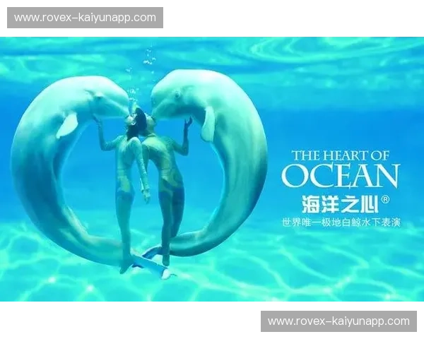 极南之巅与冰城之魂：广州恒大VS哈尔滨毅腾，那场关于热爱与奇迹的史诗对话